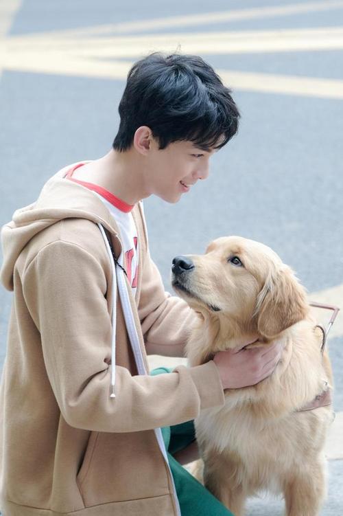 百变吴磊《宠爱》贺岁,盲人少年演绎萌宠版"你是我的眼"