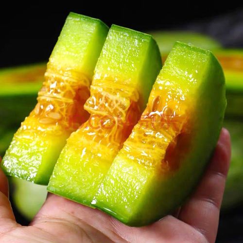 羊角蜜甜瓜现摘香瓜脆甜水果孕妇水果羊角蜜瓜潍坊特产头茬羊角蜜