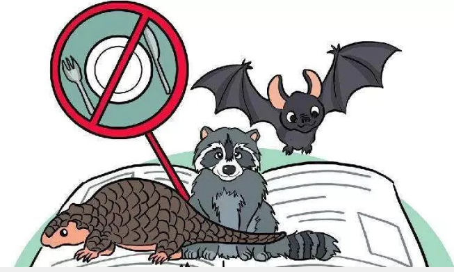 吃野味?看济南市东方双语实验学校生物老师怎么怼你!