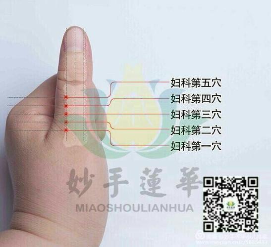 董氏穴位美图