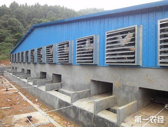 再者,猪舍外围护结结构设计也要比较合理,在北方采暖地区猪场建筑