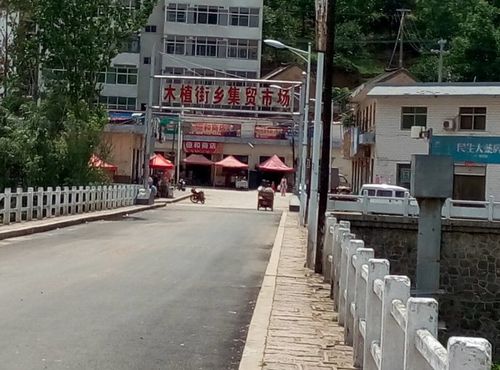 故地重游木植街环线