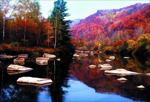 【伊春旅游】伊春旅游景点大全最新版