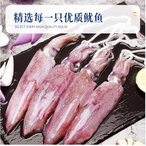 新鲜鱿鱼鲜活冷冻冰鲜海鲜乌贼烧烤火锅2只冷冻鱿鱼