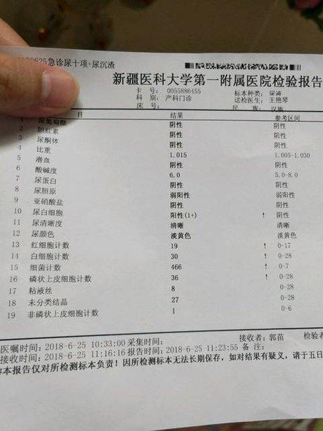 尿常规检查不懂结果