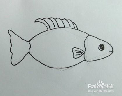鱼的画法教程(2)鱼怎么画,如何画鱼?简笔画