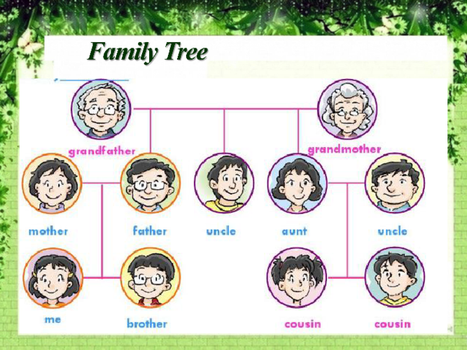 lesson 2 my family tree 课件