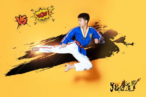《跆拳道》