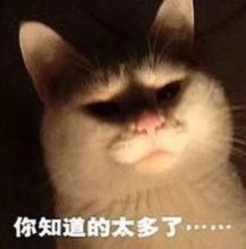 猫猫表情包 恐吓 你知道得太多了