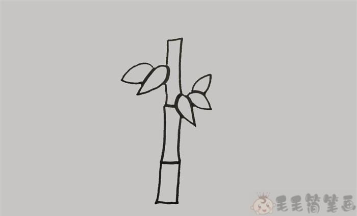 竹子简笔画竹叶简笔画