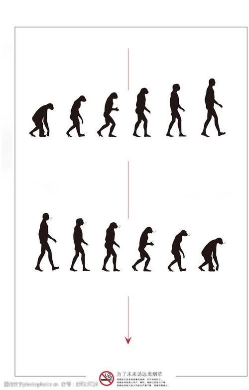 关键词:禁止吸烟 人类进步 人类退化 白色 红色 黑色 猴子 海报设计