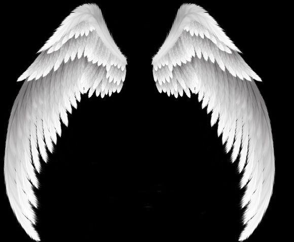 【素材】整理的精灵&天使&恶魔翅膀png_cos后期吧_百度贴吧