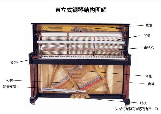对应的表格是钢琴内部构造的总结和说明,不清楚这些容易被销售骗呢