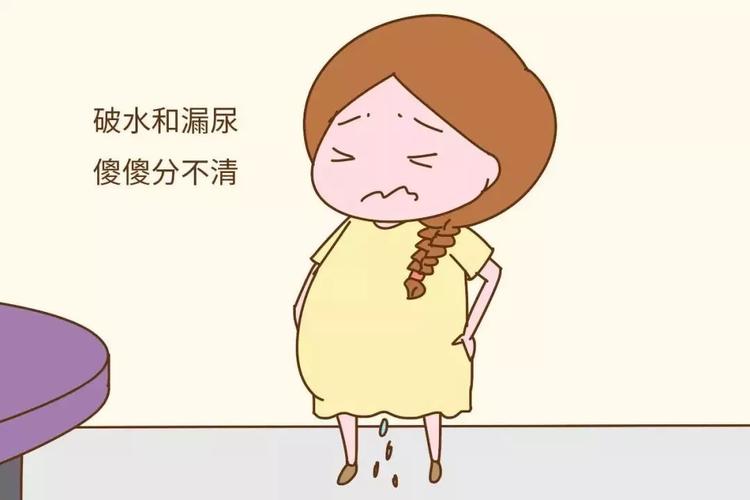 孕期分不清破水还是漏尿?这些知识一定要记牢