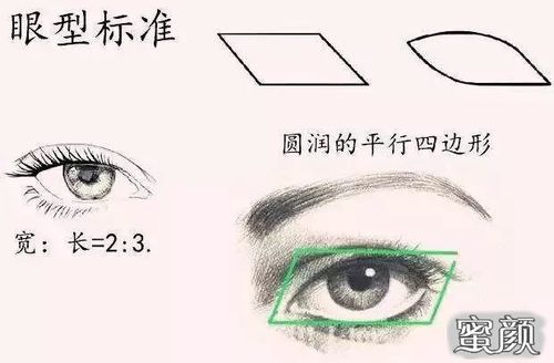 眼睛大却无神采?想要明亮灵动媚眼,看这篇