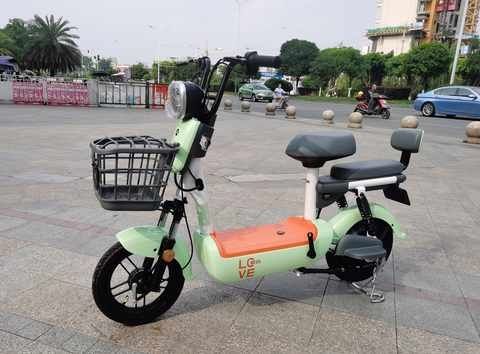 爱玛(aima)电动车新国标电动自行车新款国潮电车锂电