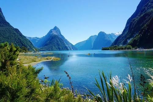 第一站:米佛峡湾(milford sound)