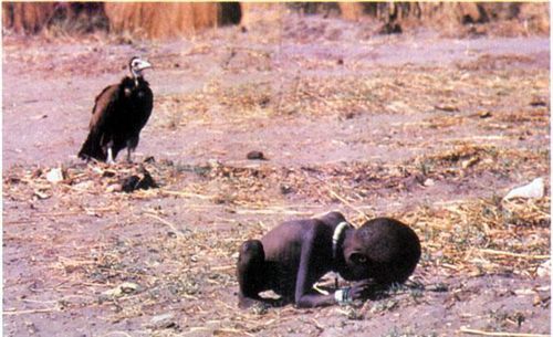 1994年一张照片引发了世界人民对于非洲难民的关注,一只秃鹫站在