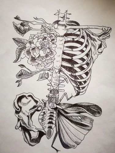 原来解剖图可以这么美~大同卫校解剖绘图作品集锦