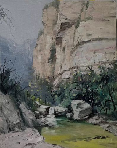 小石潭记(80*100)