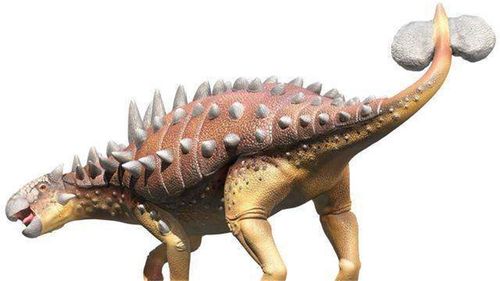 甲龙是食草的,是白垩纪时期的大型食草性恐龙,长达10.