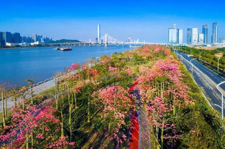 被誉为花园城市的珠海,到底有多美!_中国