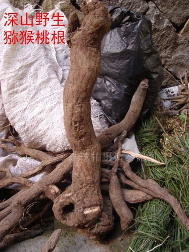 福建深山 纯野生猕猴桃根 藤梨根 抗癌养肝防辐射 假一赔十 干50g