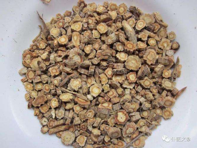 防风的作用与功效王大夫说中药系列
