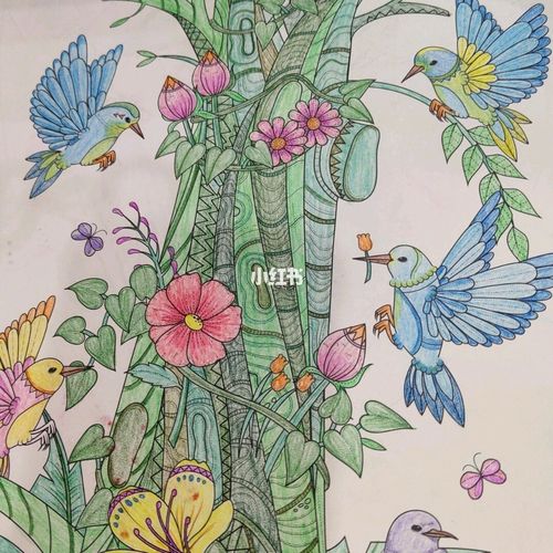 梦幻花园涂色