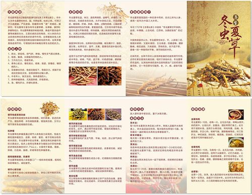 冬虫夏草说明书 高档虫草 通用说明书 宣传册 3折4页b 现货