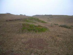 樟树筑卫城遗址