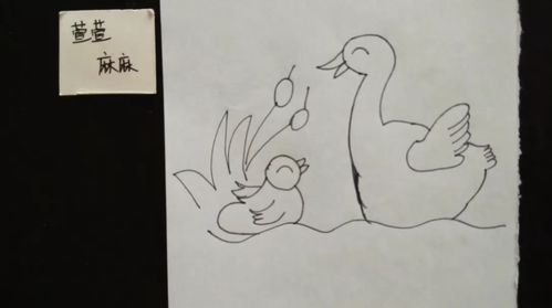 [简笔画]小鸭子正在学习游泳