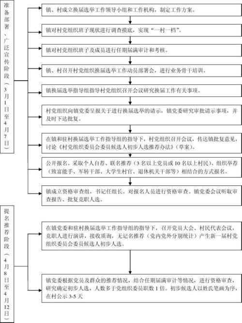 党组织换届选举流程图1
