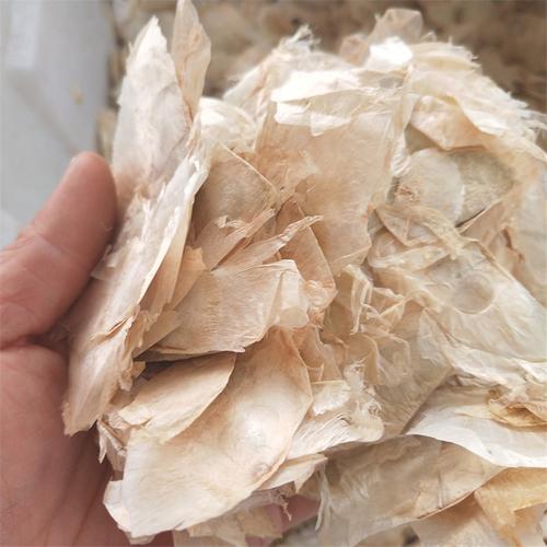 批发供应 玉蝴蝶 千张纸 中草药玉蝴蝶茶/量大从优