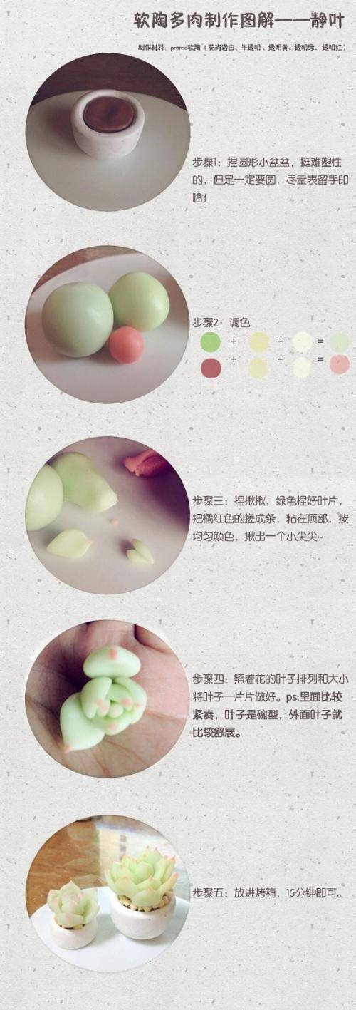 多才多艺 软陶多肉制作过程