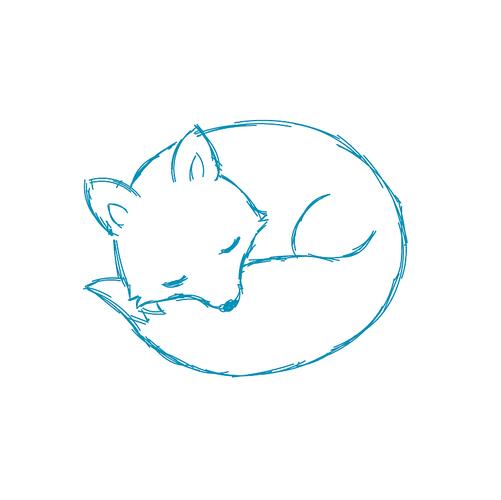 一只可爱的小狐狸