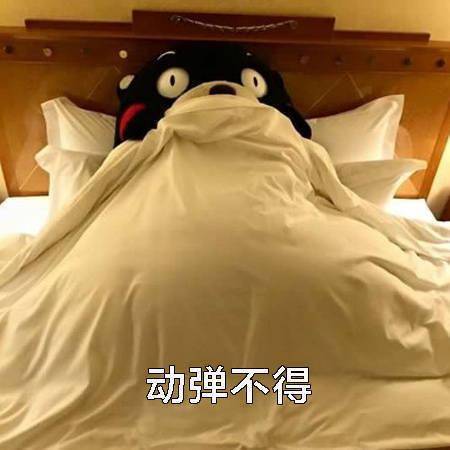 动弹不得