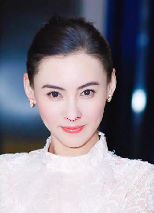 张柏芝鼻子的"海鸥线"也非常漂亮.