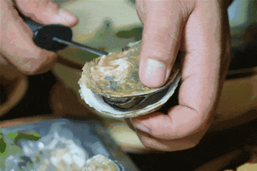 冰镇生蚝,滑蛋炒一丁,椒盐牛骨髓,连蔬菜都特别过人!