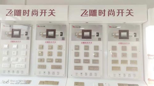 飞雕开关插座——中国墙壁开关第一品牌