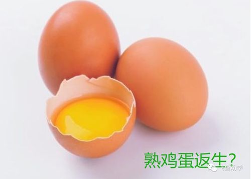 "熟鸡蛋返生"论文背后,是一场"伪科学骗局":河南外省学生收费10万