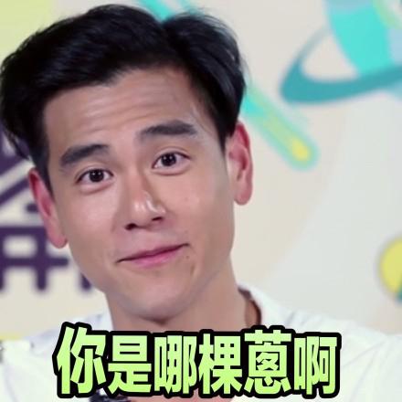 爱豆彭于晏 - 365表情包