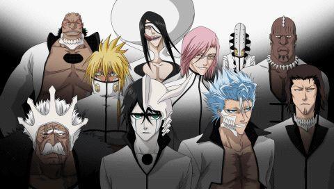 蓝染惣右介:虚圈众破面统帅   市丸银   东仙要:总括官   【十刃】