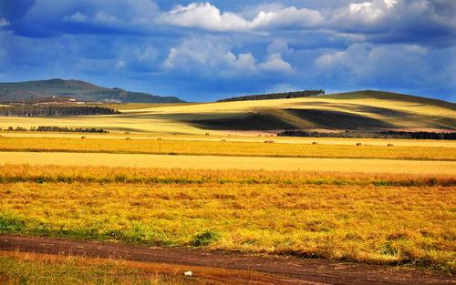 呼伦贝尔之秋摄影图片,高清壁纸,风景图片-回车桌面