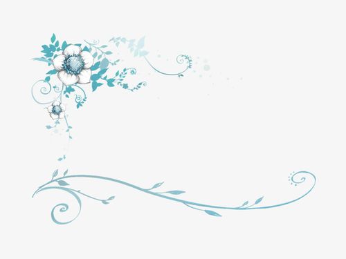 花朵,藤蔓,蓝色,花边