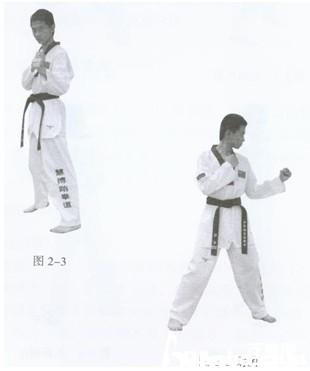 跆拳道三类实战姿势