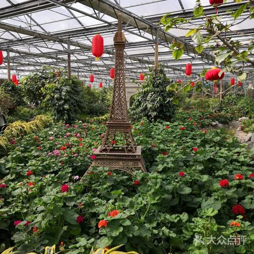 南宫五洲植物乐园