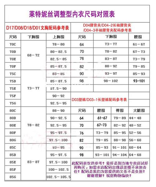 美体内衣 莱特妮丝塑身美体内衣 聚拢侧收 新款调整豹纹短文胸k28