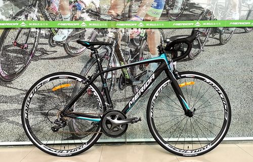 共13 件斯特拉93公路车相关商品