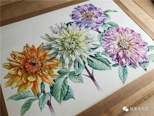 水彩教程海量步骤图水彩花绘系列教程大丽花